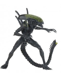 NECA ALIEN VS PREDATOR... 2