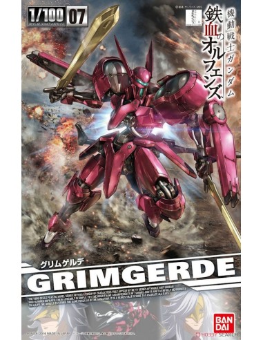 BANDAI Model Kit GUNDAM HG IRON...