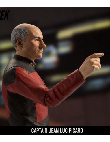 McFarlane STAR TREK CAPTAIN JEAN LUC...