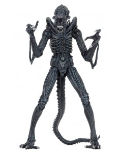 NECA ALIENS 1986 ULTIMATE... 2