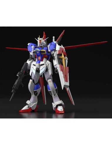 BANDAI Model Kit GUNDAM RG ZGMF X56S...