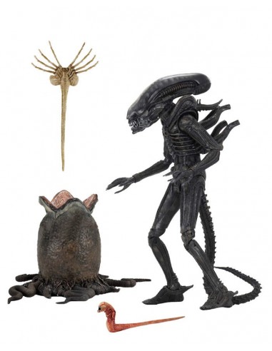 NECA ALIEN FIGURE DELUXE ALIEN 1979...