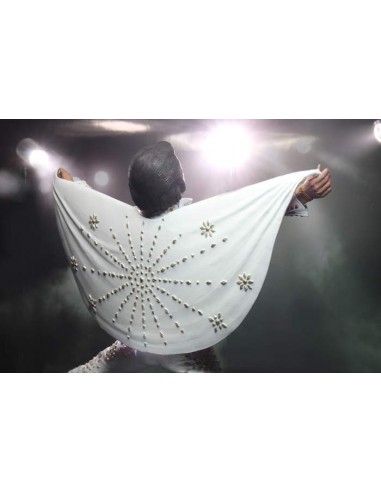 NECA ROCK STARS MUSIC ELVIS PRESLEY...