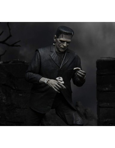 NECA UNIVERSAL MONSTERS FRANKENSTEIN...