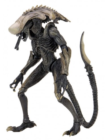 NECA ALIEN VS PREDATOR SERIES AVP...