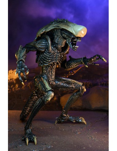 NECA ALIEN VS PREDATOR SERIES AVP...