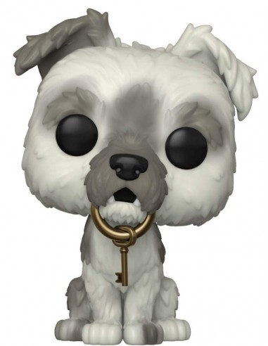 FUNKO POP DISNEY WORLD 50Th DOG POTC...