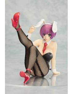 ORCHID Venus Idol Project... 2