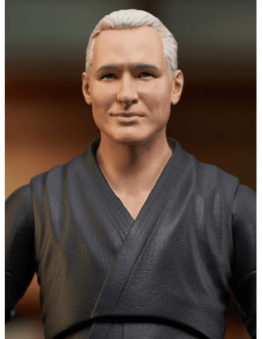 DIAMOND SELECT TOYS COBRA KAI - TERRY...