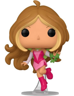 FUNKO POP ANIMATION WINX...