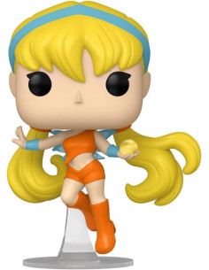 FUNKO POP ANIMATION WINX...