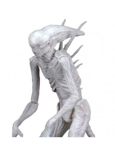 NECA ALIEN COVENANT NEOMORPH NEW...