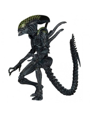  NECA ALIENS SERIES 7 AVP GRID ALIEN...