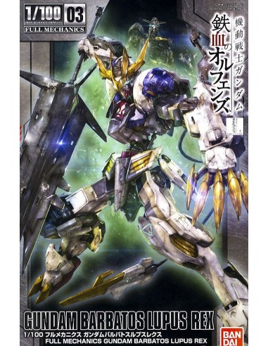 BANDAI Model Kit GUNDAM HG IRON...